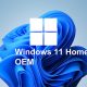 windows 11 home oem