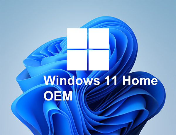 Windows 11 Home OEM Lisans Anahtarı
