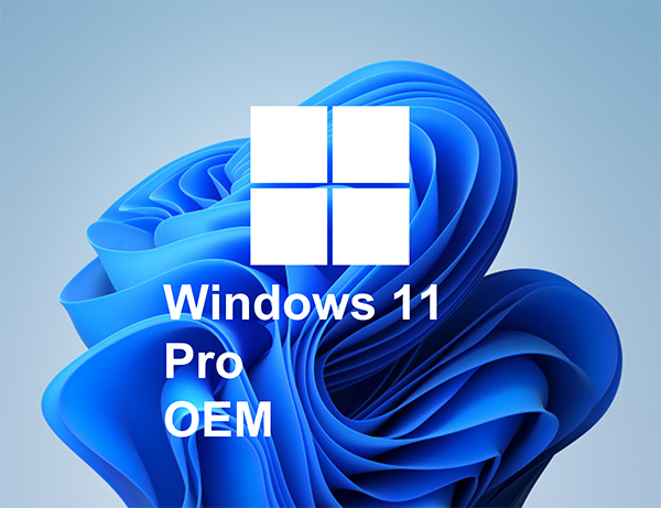 Windows 11 Pro OEM Lisans Anahtarı
