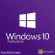 windows 10 pro kurumsal lisans