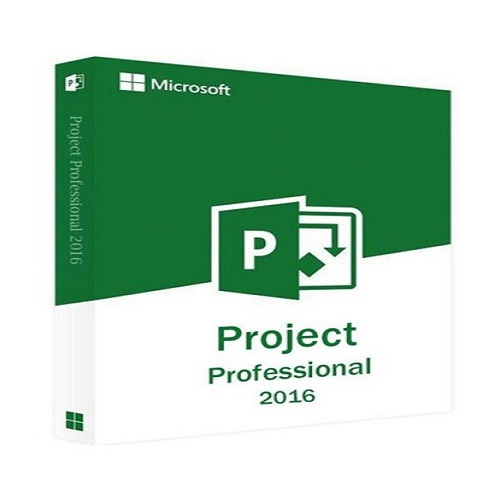 Microsoft Project Professional 2016