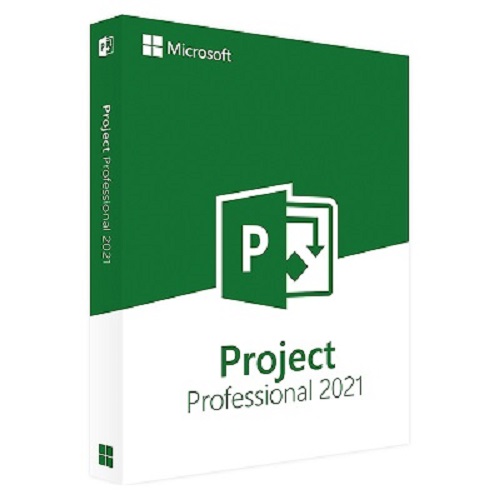 Microsoft Project Professional 2021